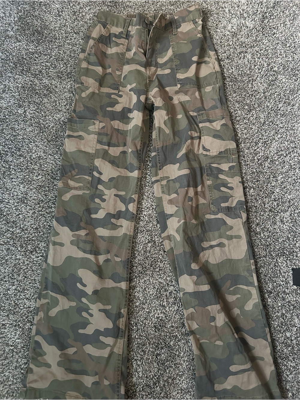 No Boundaries Men's Camouflage Cargo Pants - Olive, Tan, Brown